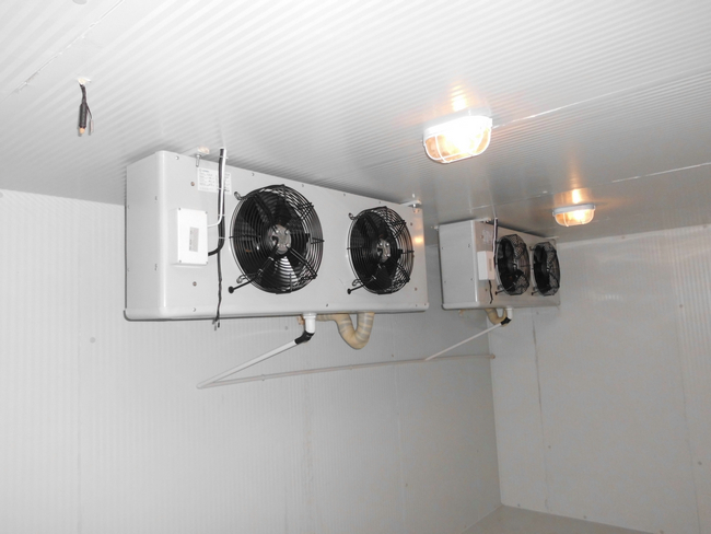 食品保鮮庫(kù)建造-保鮮品