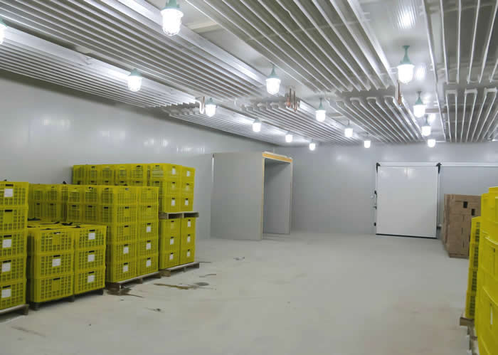 低溫冷庫(kù)溫度多少合適?是否越低越好