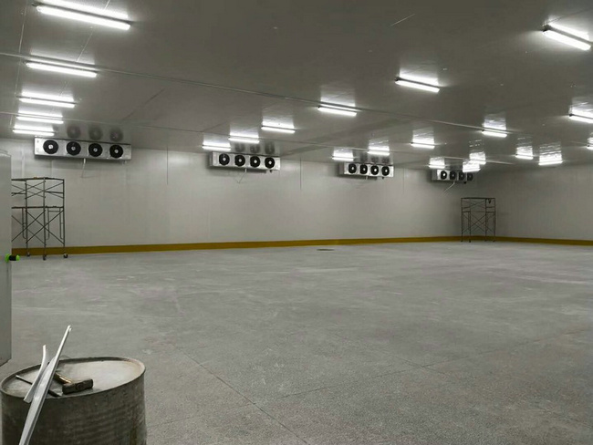 建造100平方冷凍庫(kù)需要多少錢？